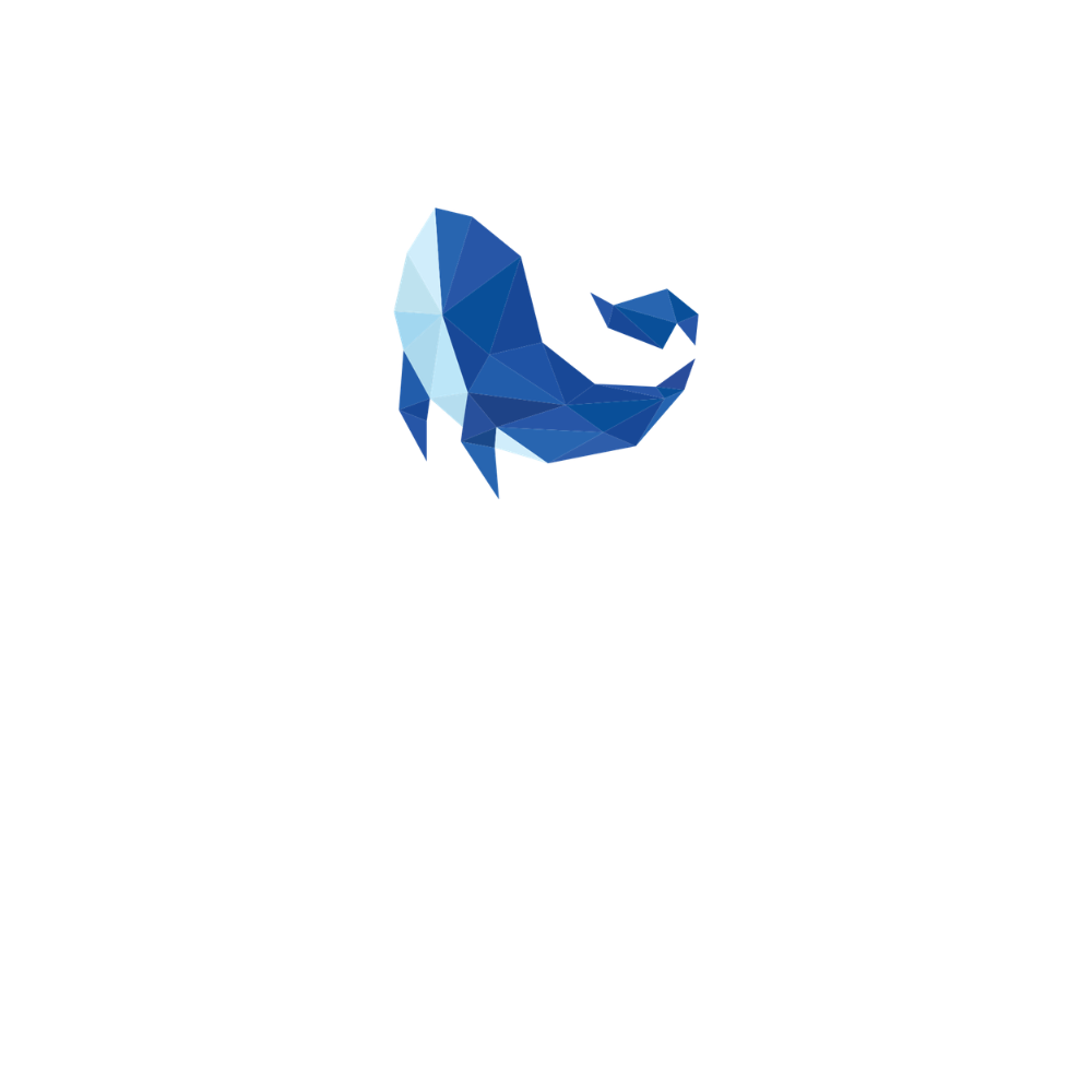 Unbelievable Water